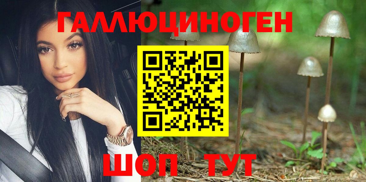 Ярославль  Галлюциногенные грибы Cubensis  где купить наркоту  Вход с VPN 